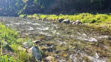 Slovakya 'daki Poprad Dağı nehri.