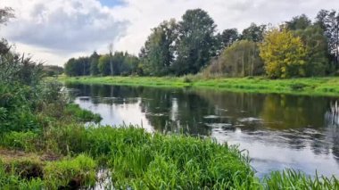 Polonya 'nın Sochaczew kentindeki Bzura Nehri.