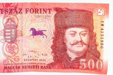 Francis II Rakoczi 'nin portresi 500 HUF banknotunda.