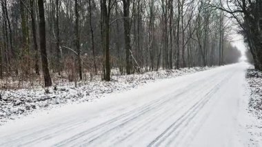 Kar yağarken ormanda yol. Gündüz vakti kış ormanı.