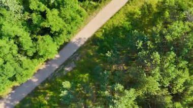 Polonya 'daki bir ormanın tepeden aşağı manzarası.