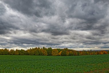 Merkez Bohemya 'da bulutlu bir sonbahar günü tarla, ağaçlar ve bulutlar görünüyor.
