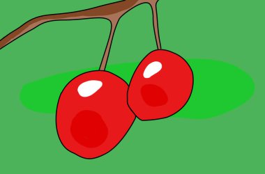 Yeşil arkaplanda ağaç dalında iki kırmızı kiraz meyvesi dijital resimleme