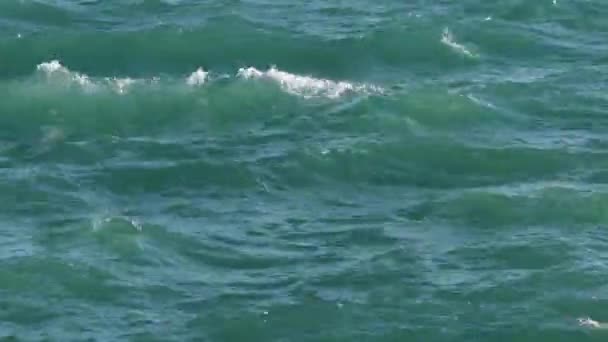 Коли Сонце Освітлює Криваві Хвилі Озері Мічиган Зеленуватою Блакитною Або — стокове відео