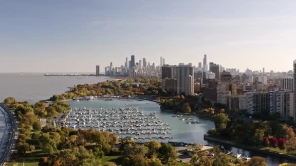 秋の紅葉とレイクビューの高層ビルに囲まれたベルモント港の上空には 晴れた日にシカゴのダウンタウンのスカイラインを眺めることができます — ストック動画
