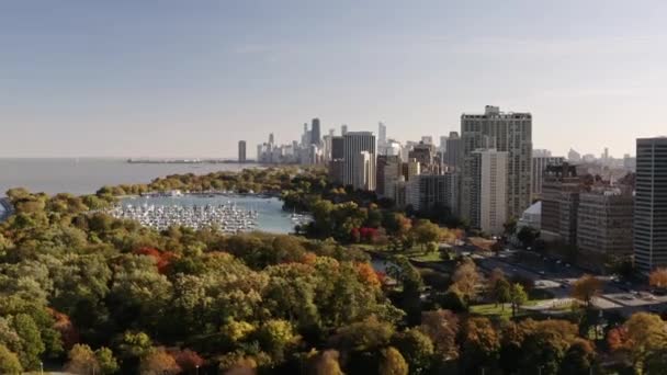Panning Out Aerial Clip Overlooking Belmont Harbor Surrounded Fall Colored — Stok video