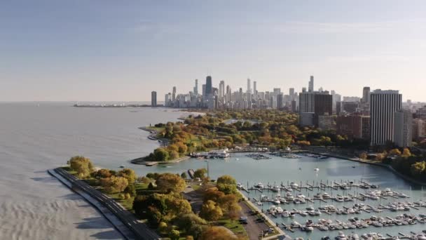 在一个阳光明媚的秋天的下午 可以看到芝加哥市中心的天际线和下面五彩斑斓的树叶 — 图库视频影像