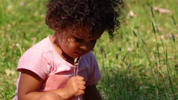 Happy Adorable Toddler Girl Curly Dark Brown Hair Bites Sucks — Stock Video