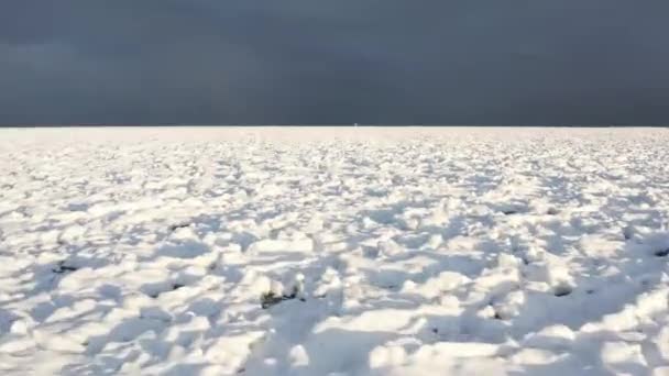 Aerial Drone Footage Rising Flying Snow Ice Covered Lake Water — 图库视频影像