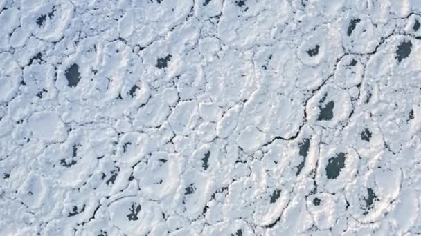 Opuszczając Antenę Nad Jeziorem Michigan Kawałki Lodu Inkrustowane Białym Śniegiem — Wideo stockowe