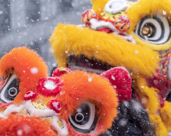 Mooie Feestelijke Oranje Gele Chinese Leeuwendansers Worden Bedekt Met Pluizige — Stockfoto