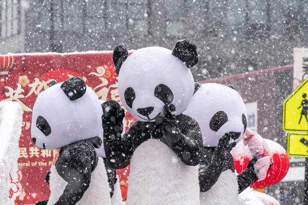 Chicago Enero 2023 Tres Pandas Cabalgan Una Carroza Decorativa Durante — Foto de Stock