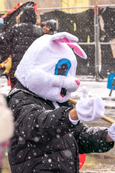 Chicago Ocak 2023 Tavşan Yeni Yıl Kutlamaları Sırasında Bir Tavşan — Stok fotoğraf