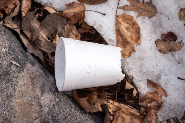 White Tattered Broken Extruded Polystyrene Cup Missing Bottom Lays Litter — Stock Photo, Image
