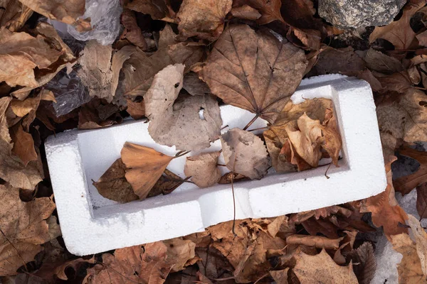 Close Photograph Piece White Extruded Polystyrene Packaging Lays Discarded Litter — Stock Photo, Image