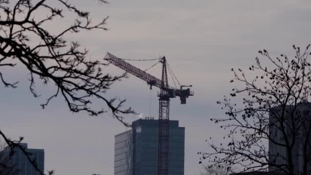 Chicago February 8Th 2023 Large Red Hammerhead Tower Crane Spins — Wideo stockowe