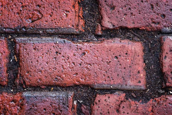 Close Wet Old Weathered Textured Red Brick Pavers Brown Mud — Stock Photo, Image