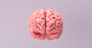 İnsan beyni anatomik modeli, tıbbi konsept görüntüsü