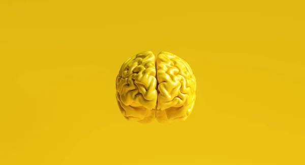Cervello Umano Giallo Contro Sfondo Giallo Modello Anatomico Sul Pavimento — Foto Stock