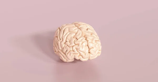 Cerebro Flotante Como Concepto Inteligencia Artificial — Foto de Stock