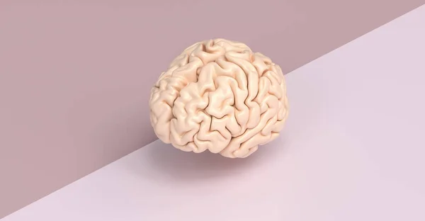 Cervello Umano Contro Terreno Laterale Trainato Immagine Concettuale Brainstorming — Foto Stock