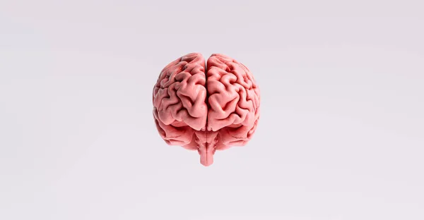 Concetto Intelligenza Artificiale Con Modello Cervello Galleggiante — Foto Stock