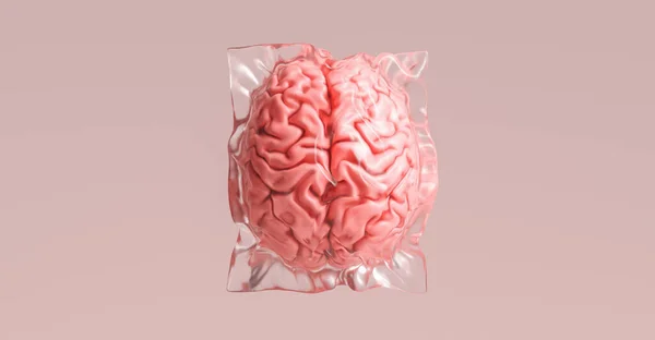Людський Мозок Загорнутий Термозбіжну Обгортку Пластикові Відходи Зображення Медичної Концепції — стокове фото