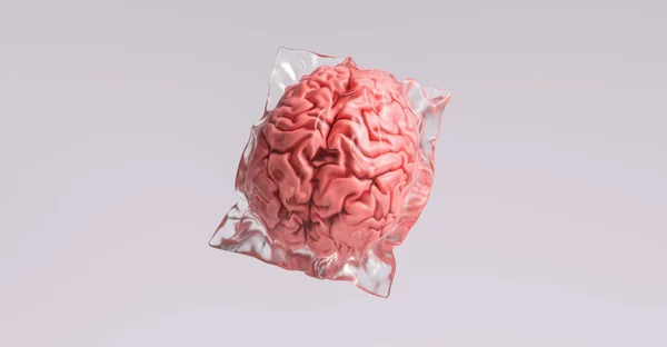 Emberi Agy Csomagolva Zsugorfóliába Mint Egy Műanyag Hulladék Orvosi Koncepció — Stock Fotó