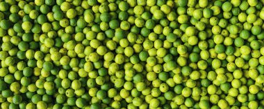 Arkaplan olarak yeşil limon, pankart boyutu