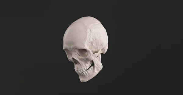 人間の頭蓋骨と顎骨側のビュー海賊毒ホラーシンボルハロウィン医療 解剖学 医学の概念像 — ストック写真