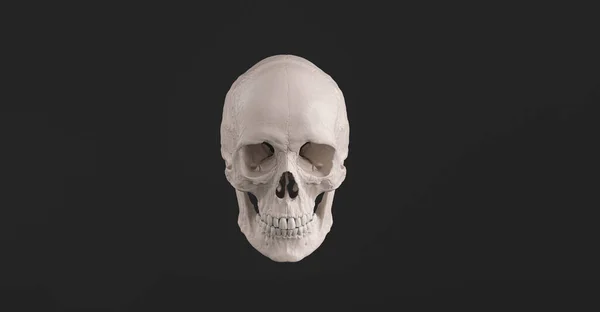 Cranio Umano Mascella Ossea Vista Frontale Pirate Poison Horror Symbol — Foto Stock