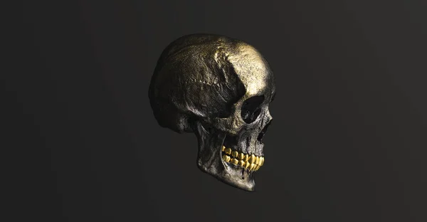 Golden Human Skull Vista Lateral Pirata Veneno Horror Símbolo Halloween — Fotografia de Stock