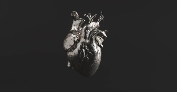 Gümüş Anatomik Kalp Anatomi Tıp Konsepti — Stok fotoğraf