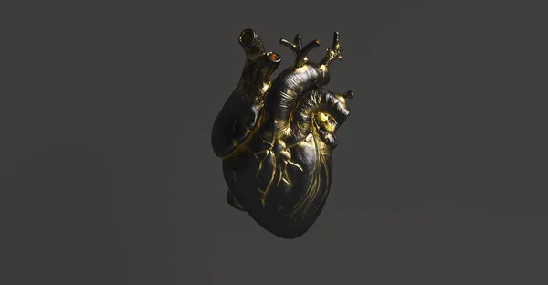 Czarne Serce Złotem Anatomicznym Anatomia Koncepcja Medycyny — Zdjęcie stockowe