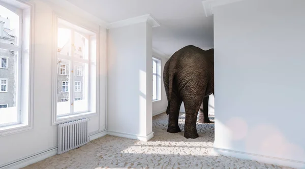 stock image Big elephant from behind in a small room with beach sand on the ground as a funny space problem concept image