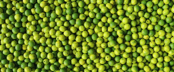 Gröna Citroner Lime Som Bakgrund Banner Storlek — Stockfoto