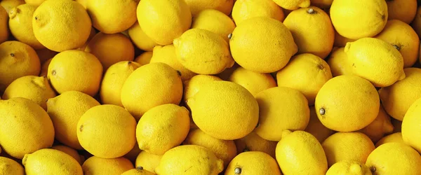 Limones Amarillos Maduros Fondo Textura Primer Plano Cosecha Limón Muchos —  Fotos de Stock