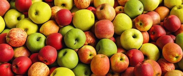 Köstliche Äpfel Auf Bauernmarkt Als Hintergrund Bannergröße — Stockfoto