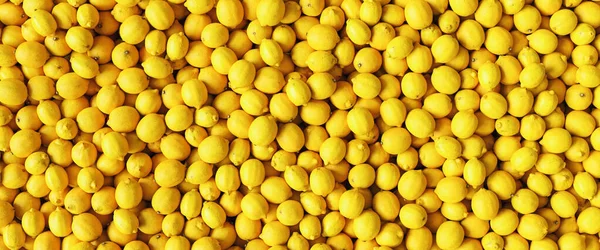 许多黄色的柠檬是背景 横幅尺寸 — 图库照片