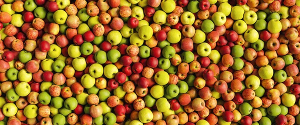 Spousta Čerstvých Zralých Jablek Jako Záhlaví Textury Zdravém Pozadí Velikost — Stock fotografie