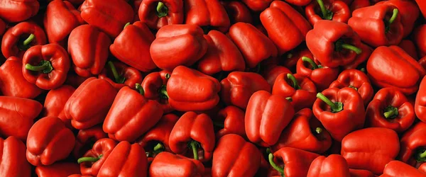 Many Red Organic Bell Pepper Capsicum Market Sale Pile Sweet — Stock Photo, Image