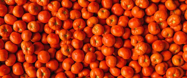 Banyak Tomat Merah Segar Sebagai Tekstur Latar Belakang Dengan Daging — Stok Foto