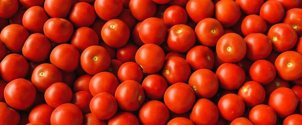 Montón Tomates Rojos Frescos Como Fondo Cabecera Salud — Foto de Stock