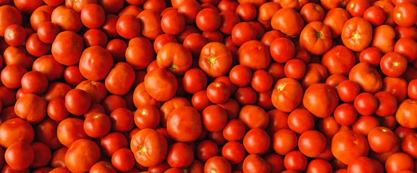 Tomates Vermelhos Tomates Bife Uma Pilha Como Uma Textura Fundo — Fotografia de Stock