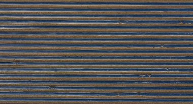 Kuşkonmaz, kuşkonmaz bitkileriyle (asparagus officinalis) toprağı ısıtması ve erken hasat etmesi beklenen bir folyonun altında verniklenir.