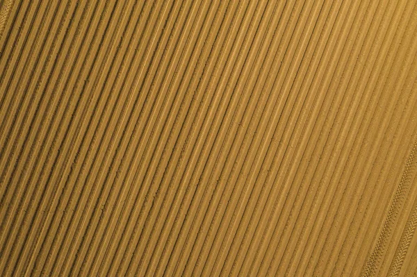 Aerial View Plowed Agricultural Field Drone Pov Top View — Stock Photo, Image