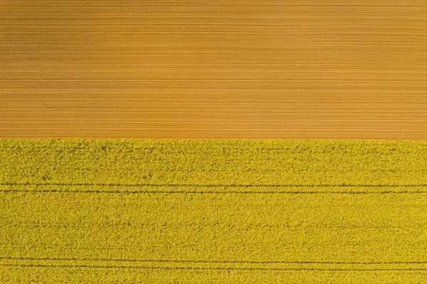 Luchtfoto Van Rijen Grond Voor Het Planten Van Canola Voorste — Stockfoto