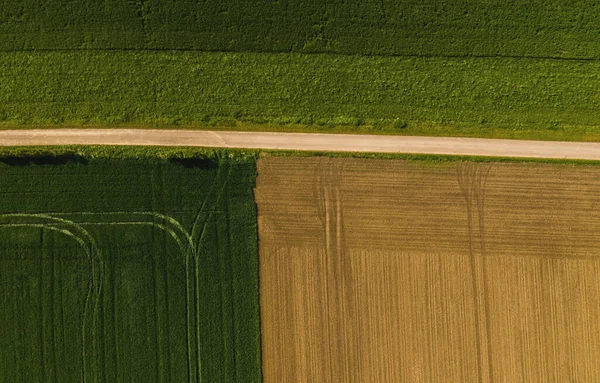 geometric shapes of agricultural parcels of different crops in yellow and green colors. Aerial view shoot from drone directly above field