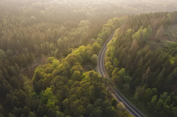 空中鸟瞰着通往高山的道路 空中雾气弥漫 空中鸟瞰着穿过树木的道路 — 图库照片