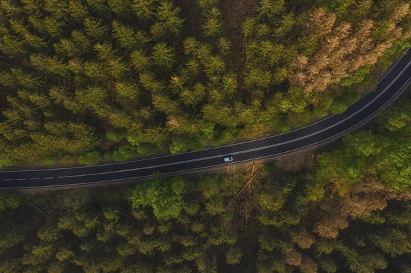 Αεροφωτογραφία Της Οδήγησης Αυτοκινήτου Μέσα Από Δάσος Επαρχιακό Δρόμο — Φωτογραφία Αρχείου